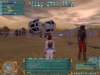 Photo Number 13